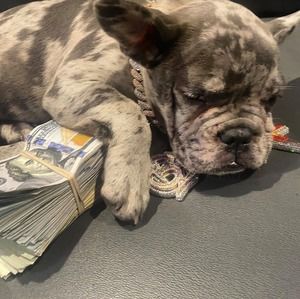 Meet your Posher, Vari